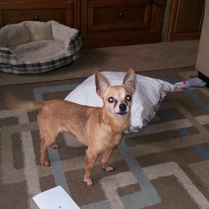 Meet your Posher, Michelle